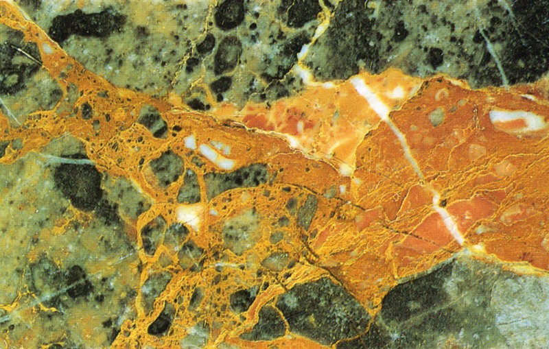 Panel 105 - Figure 2