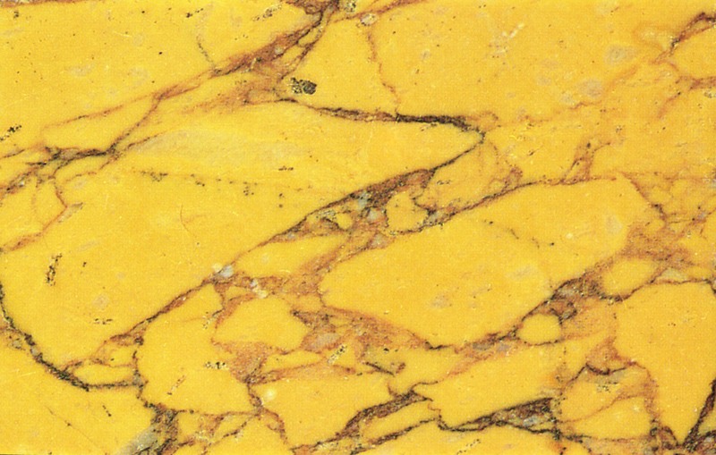 Panel 106 - Figure 1