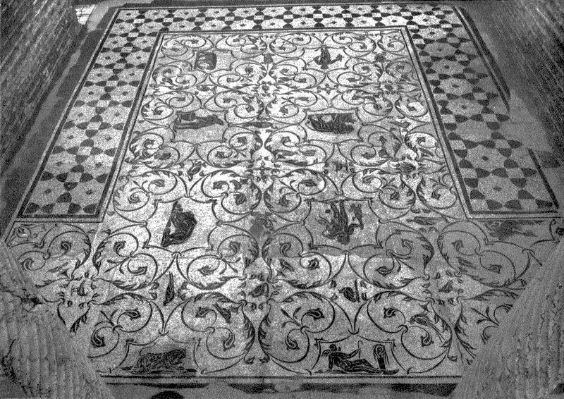 Panel 84 - Figure 4
