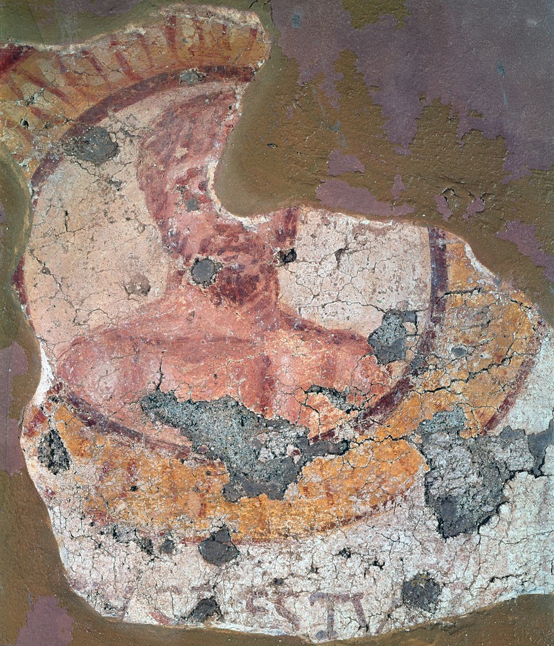Panel 79 - Figure 6