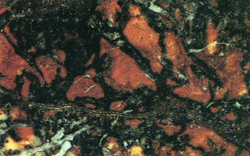 Panel 97 - Figure 2